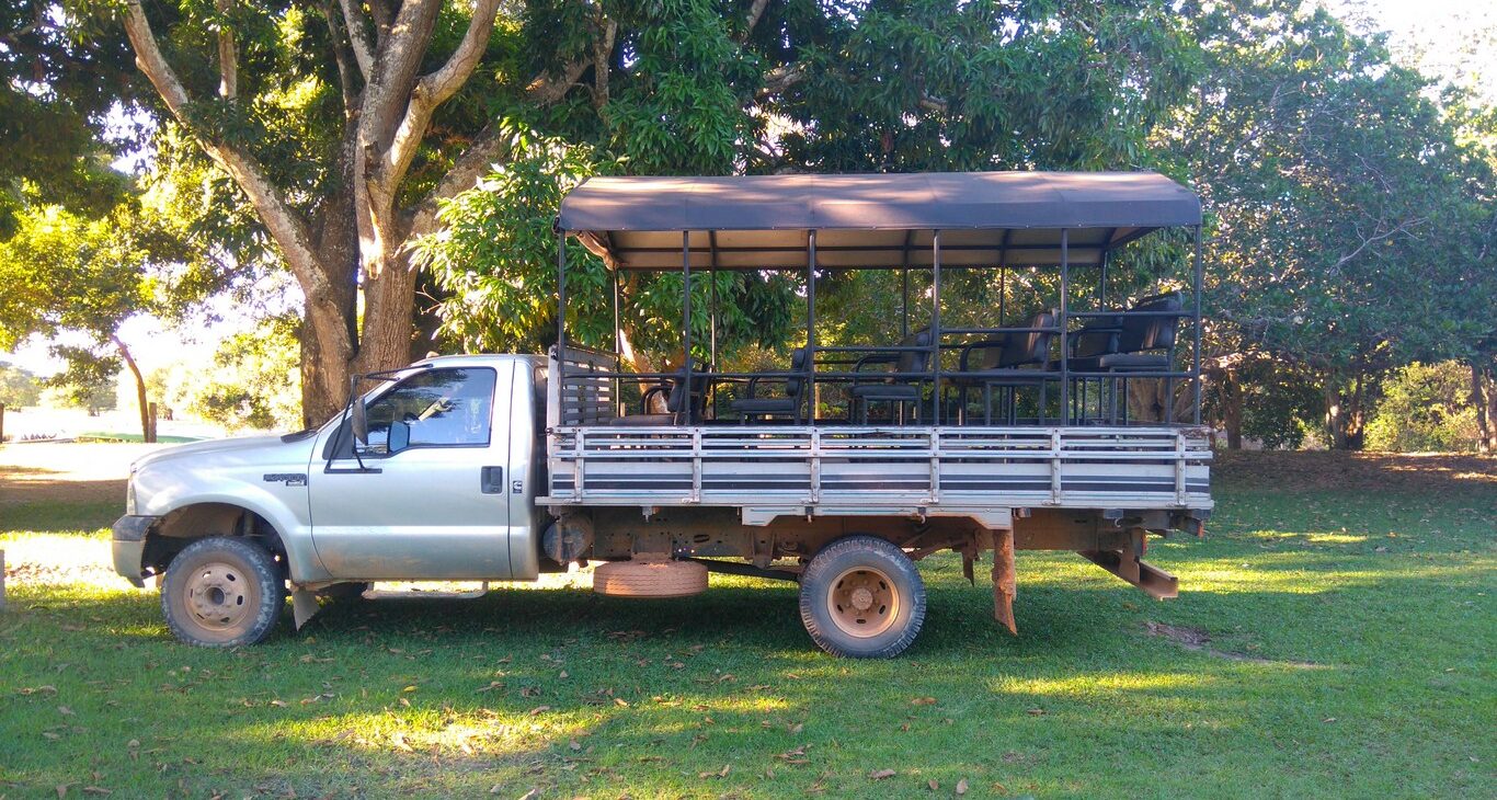 safari pousada rio mutum pantanal