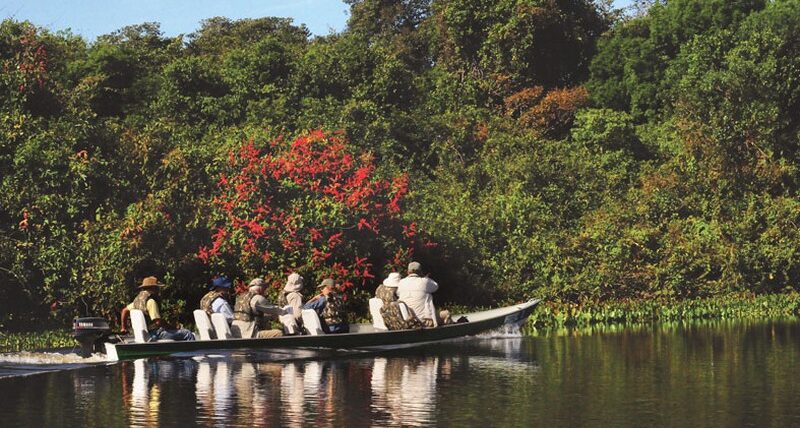 tour  barco safari pousada rio claro pocone  pantanal