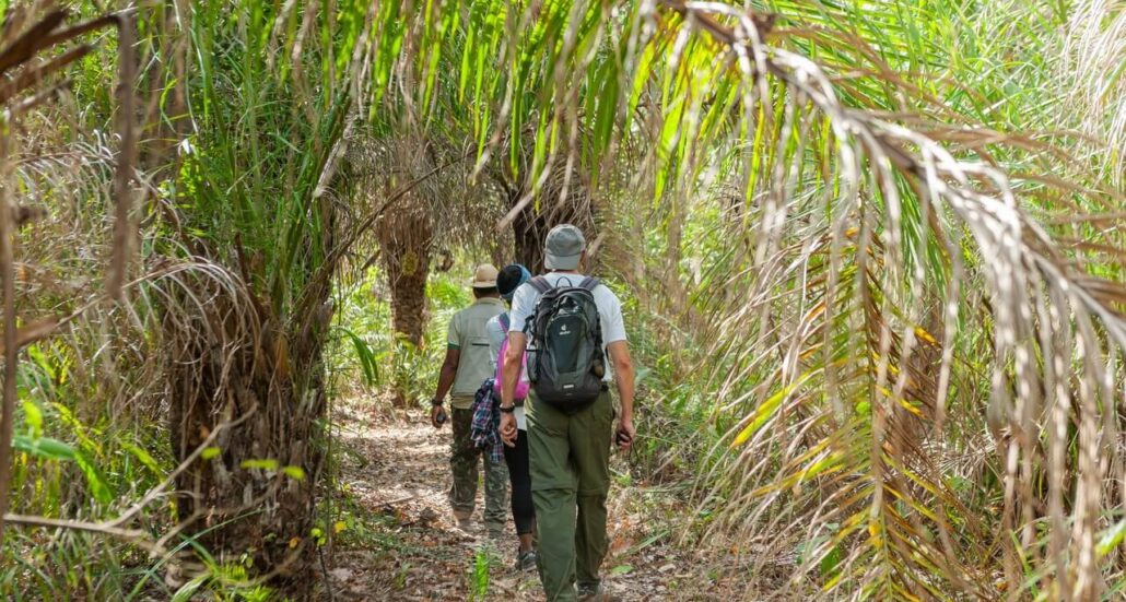 trilha safari pousada rio claro pocone  pantanal