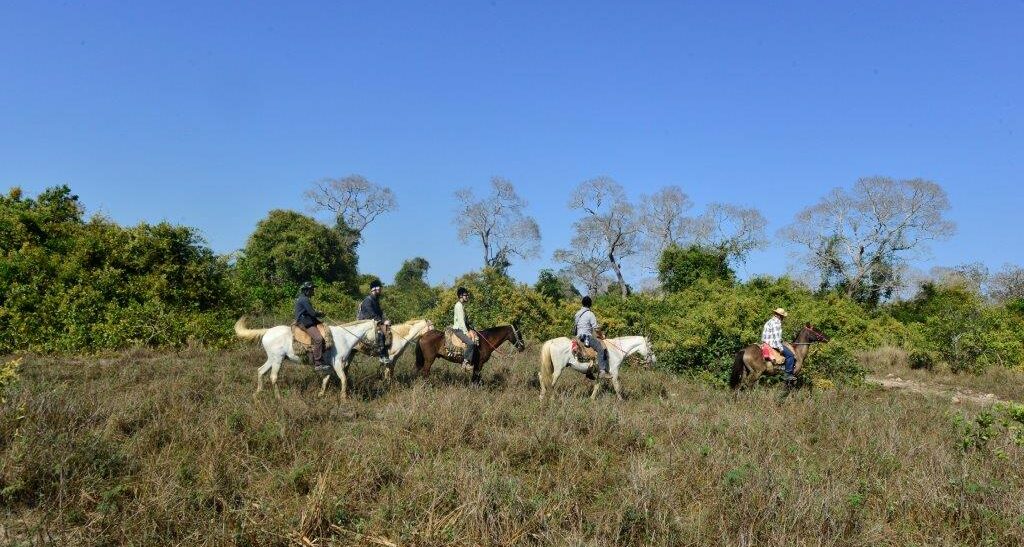 cavalgada pousada rio claro pantanal