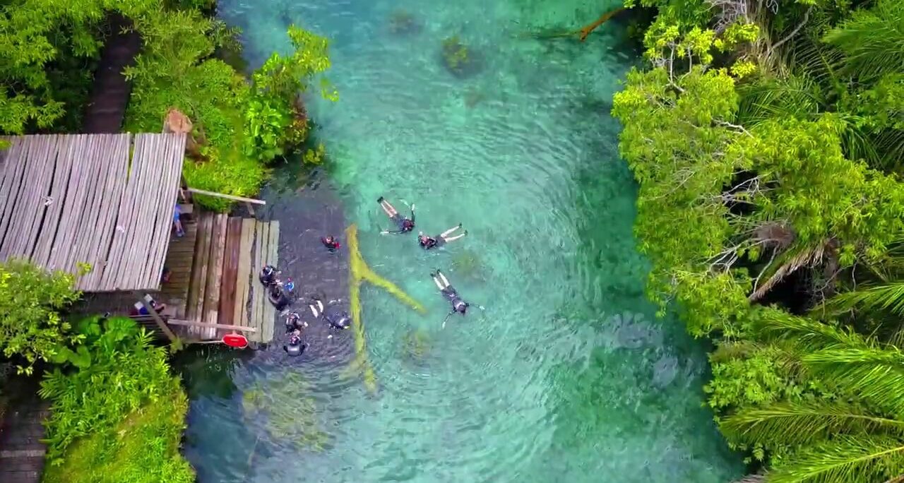 flutuação nascente azul bonito  ecoturismo