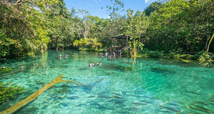 flutuação nascente azul bonito  ecoturismo