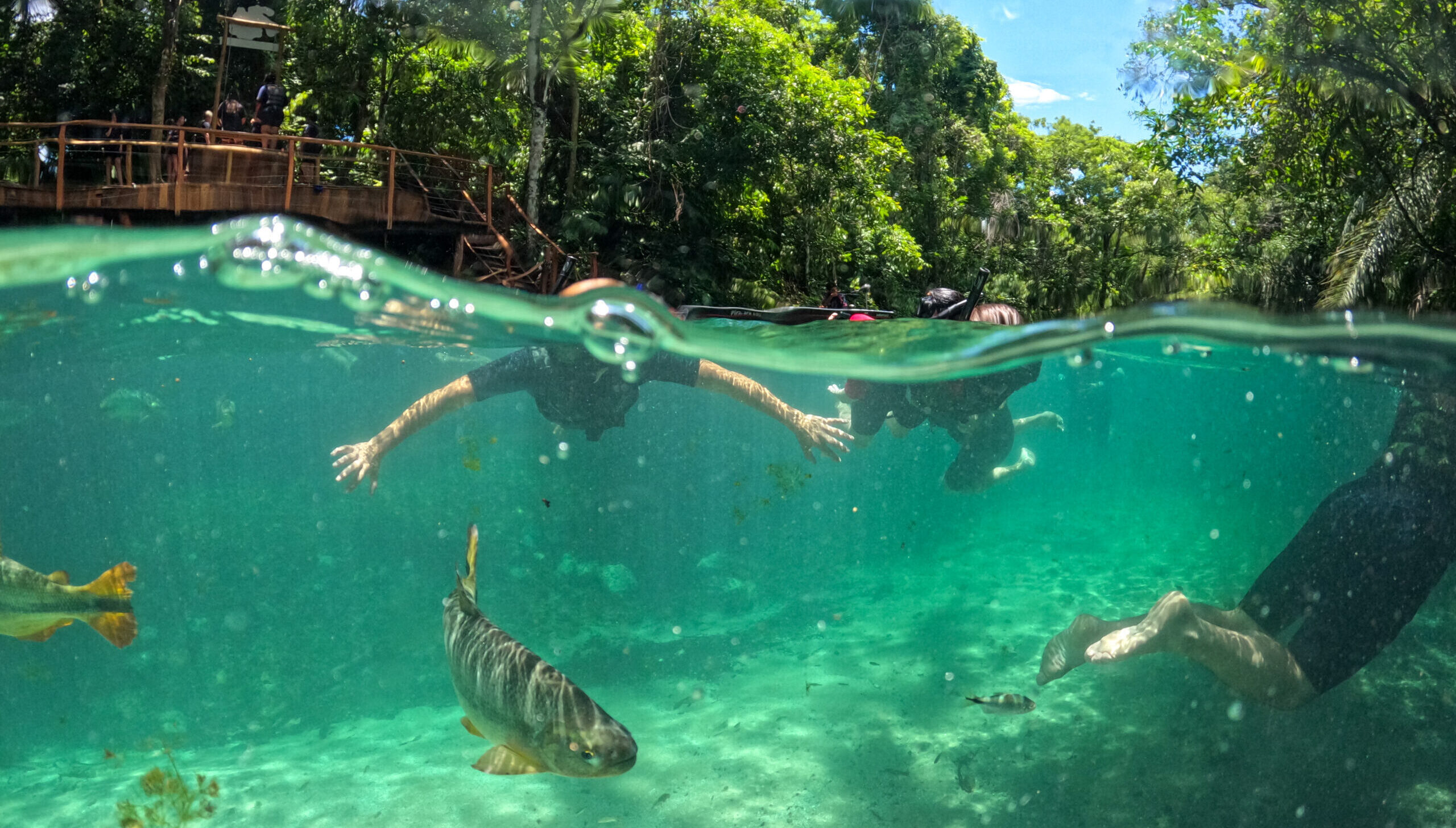 DCIM100GOPROGOPR5186.JPG