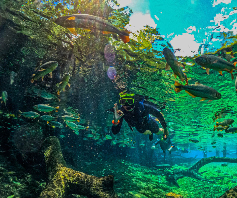 Rio da prata, Estância mimosa e Lagoa misteriosa (7)