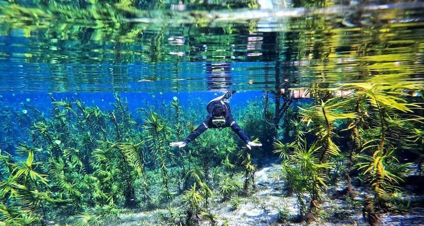 flutuação nascente serra em bonito impacto ecoturismo