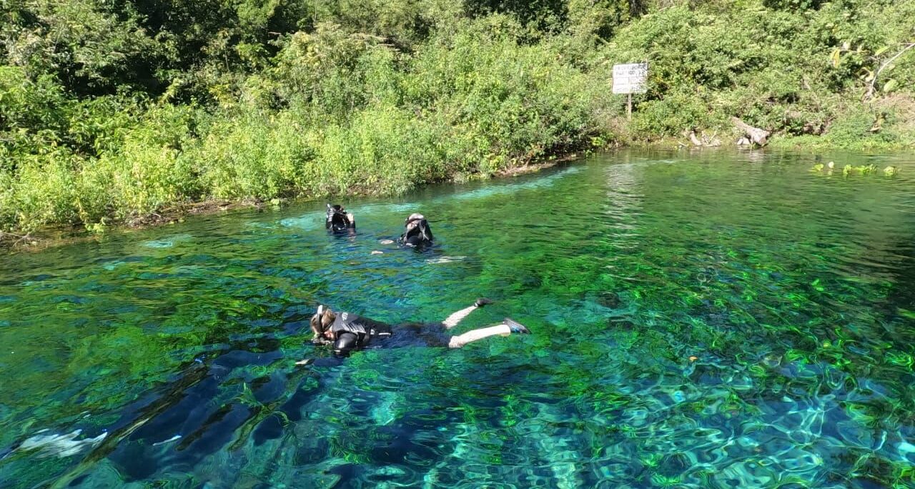 flutuação  nascente da serra  bonito  ecoturismo