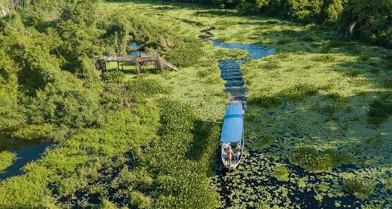 day use  pantanal  fazenda san francisco ecoturismo