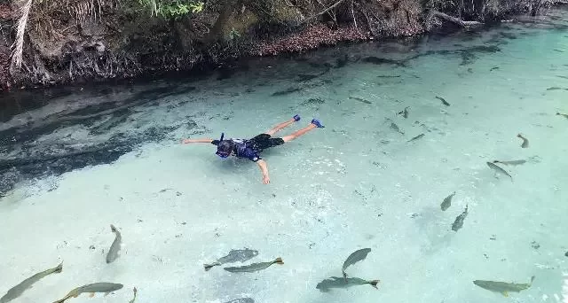 flutuação praia da figueira  bonito  ecoturismo