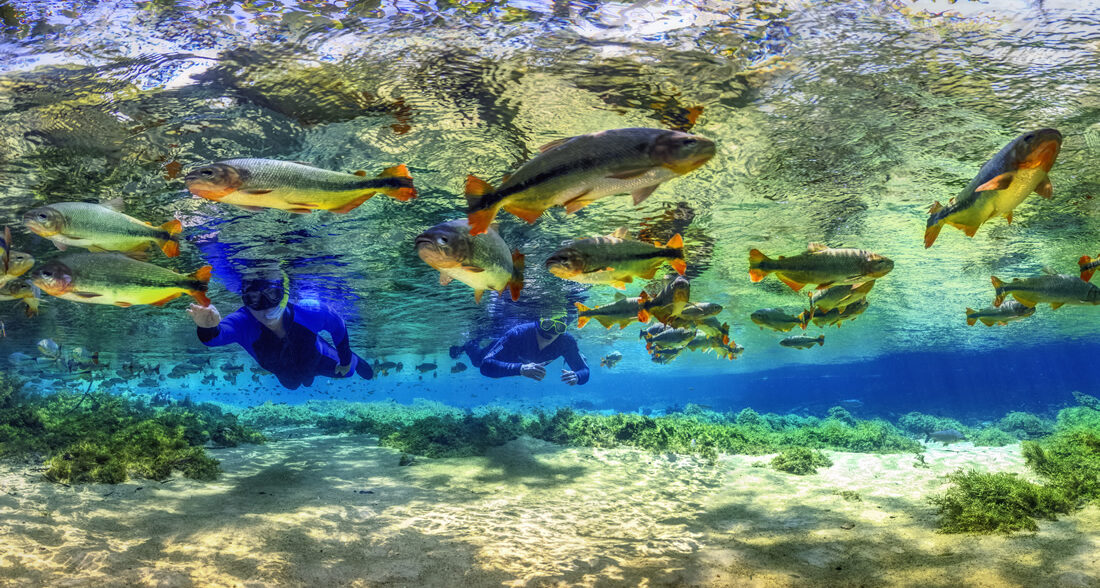 flutuação no rio da prata bonito ecoturismo