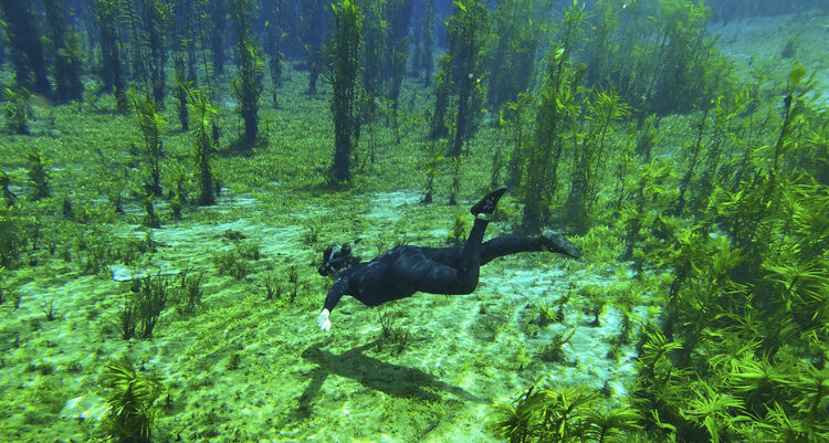 flutução nascente da serra bonito  ecoturismo