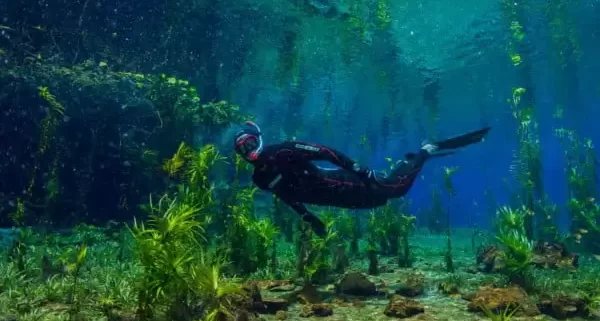 flutução nascente da serra bonito  ecoturismo