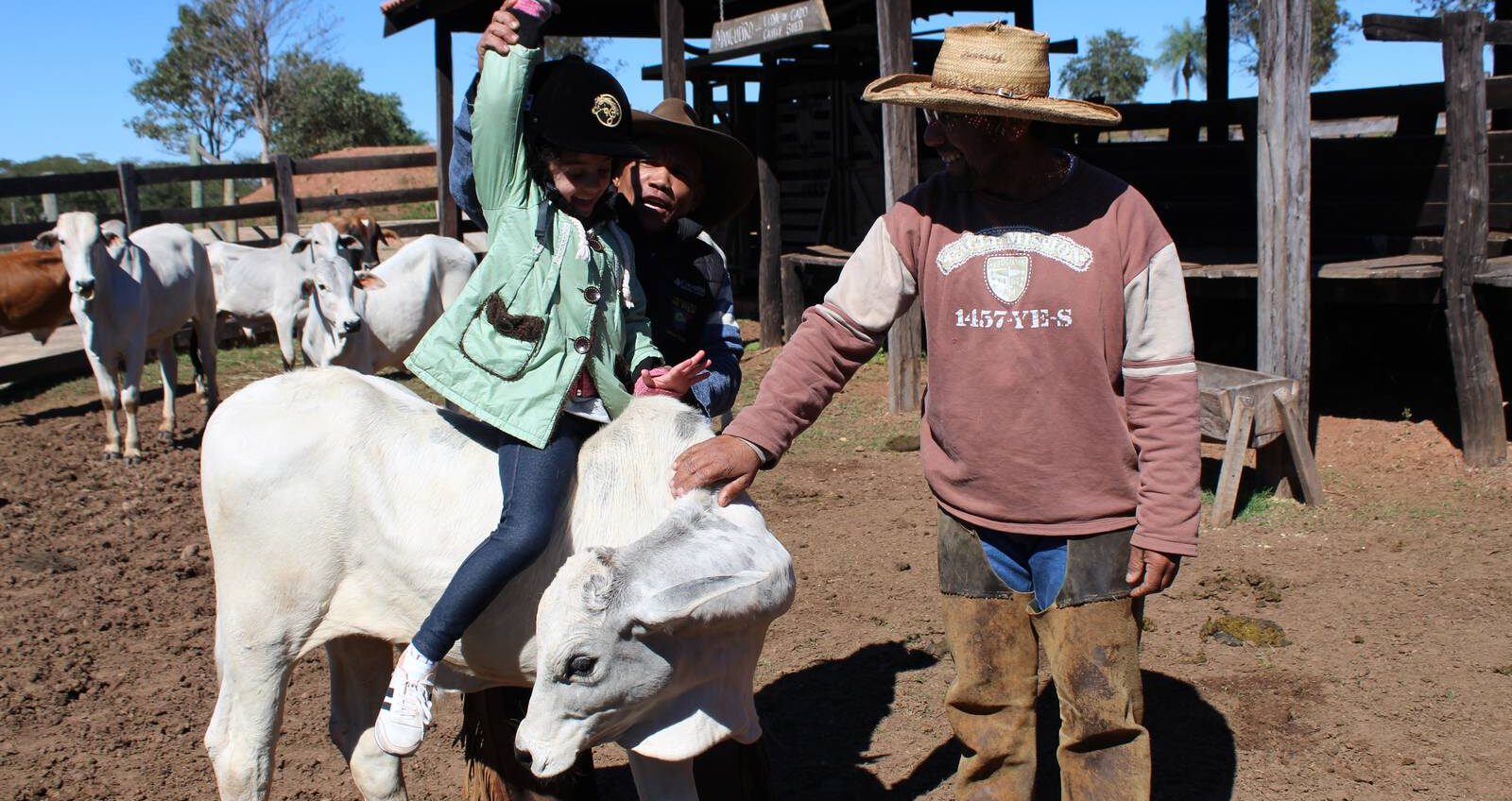 fazenda pantanal experiencia impacto ecoturismo