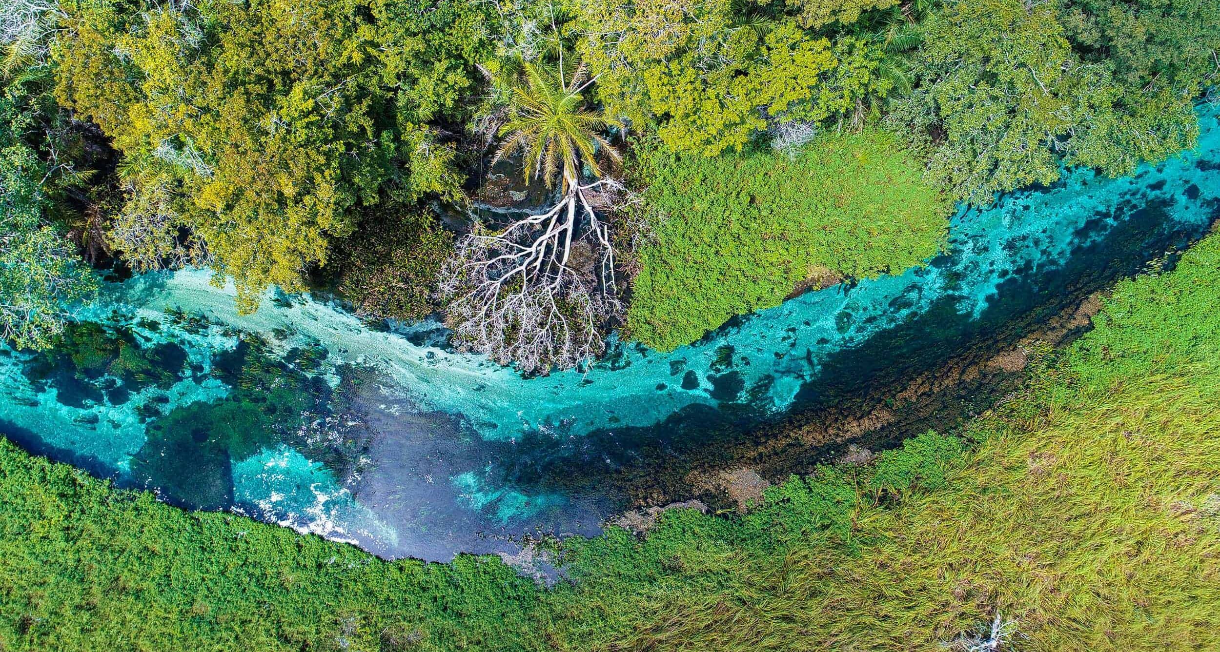 flutuação rio sucuri bonito ecoturismo