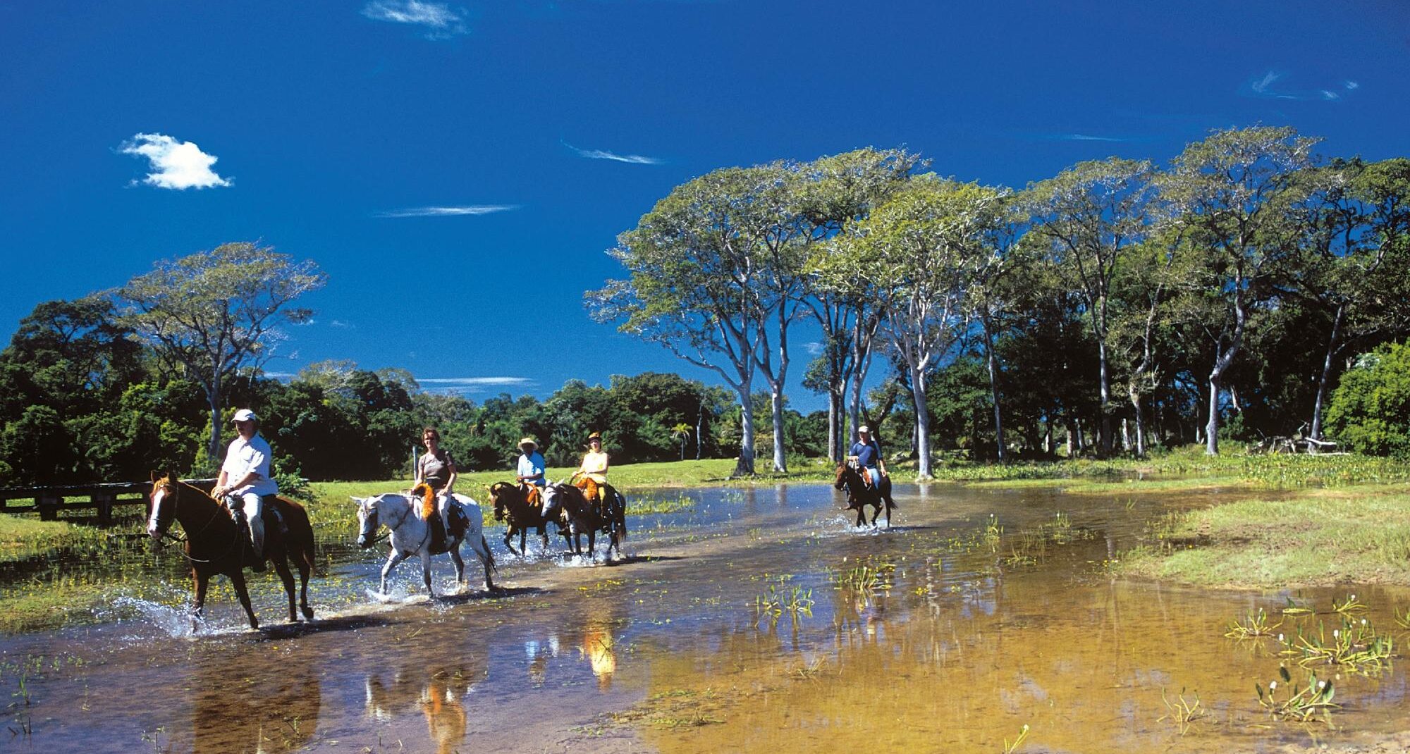tour cavalo pousada piuval pantanal norte
