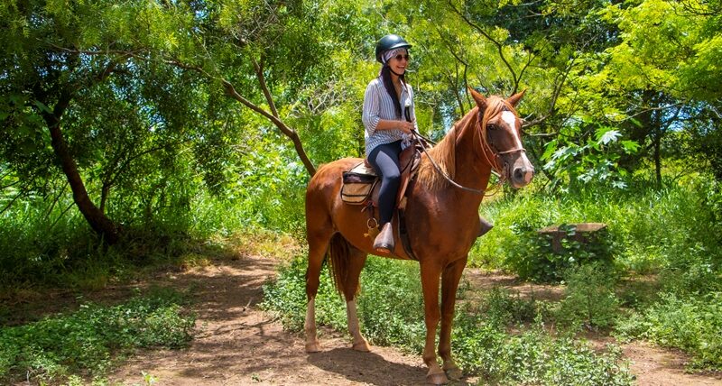 parque_ecologico_cavalgada (4)