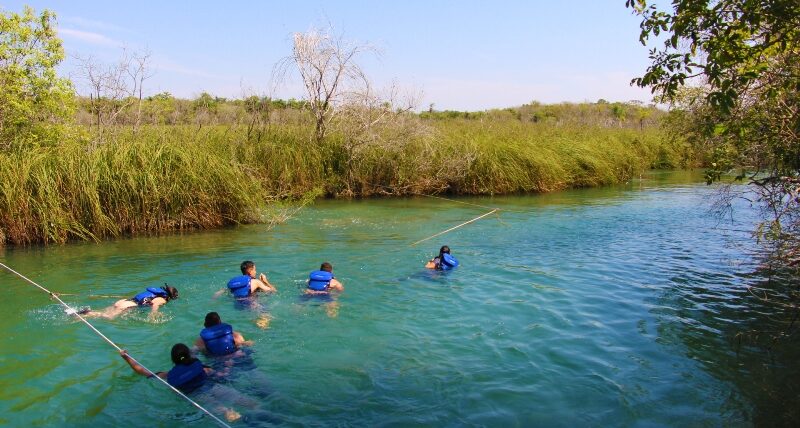 parque_ecologico_trilha_flutuaçao (3)