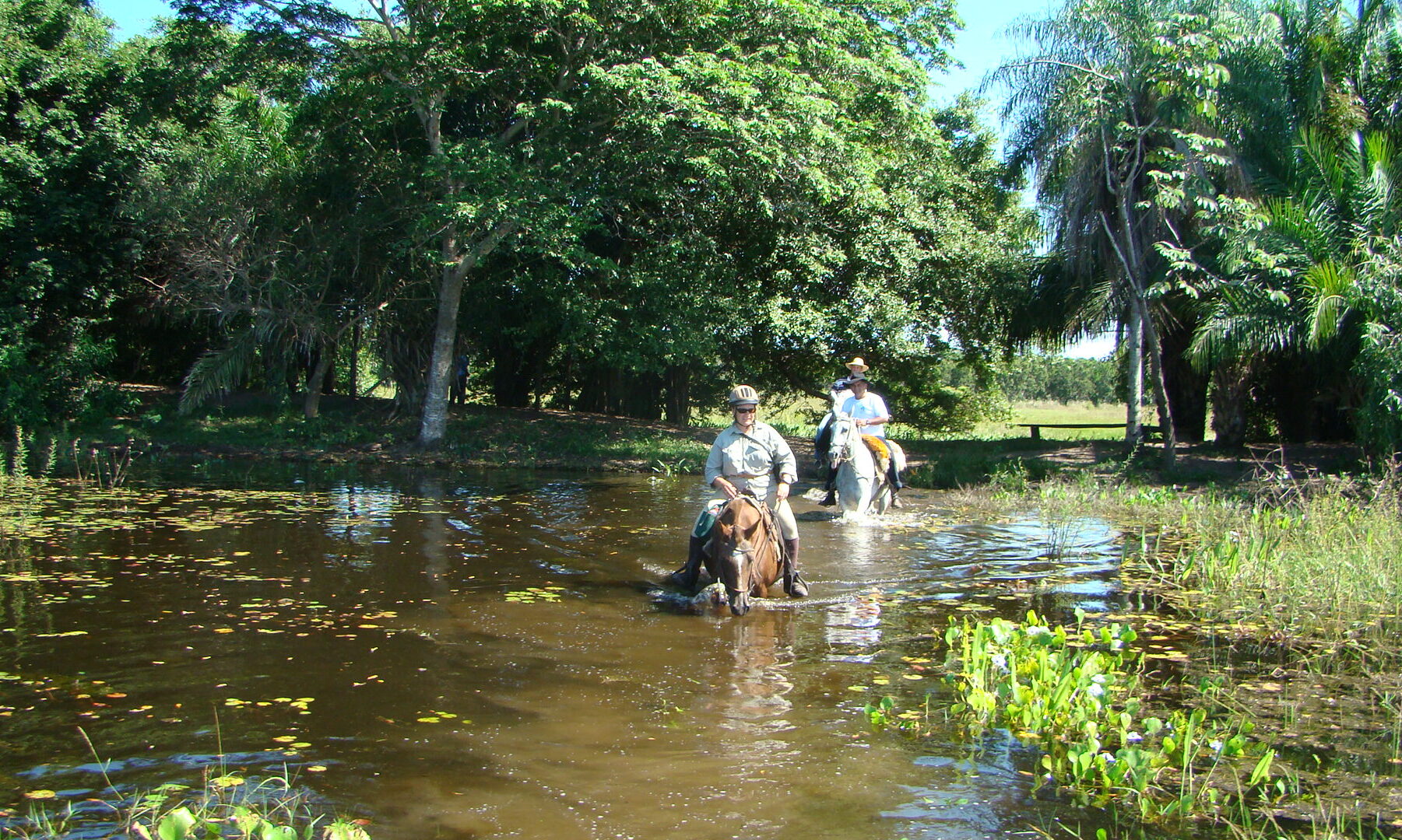 Pousada Pequi - Passeio a cavalo