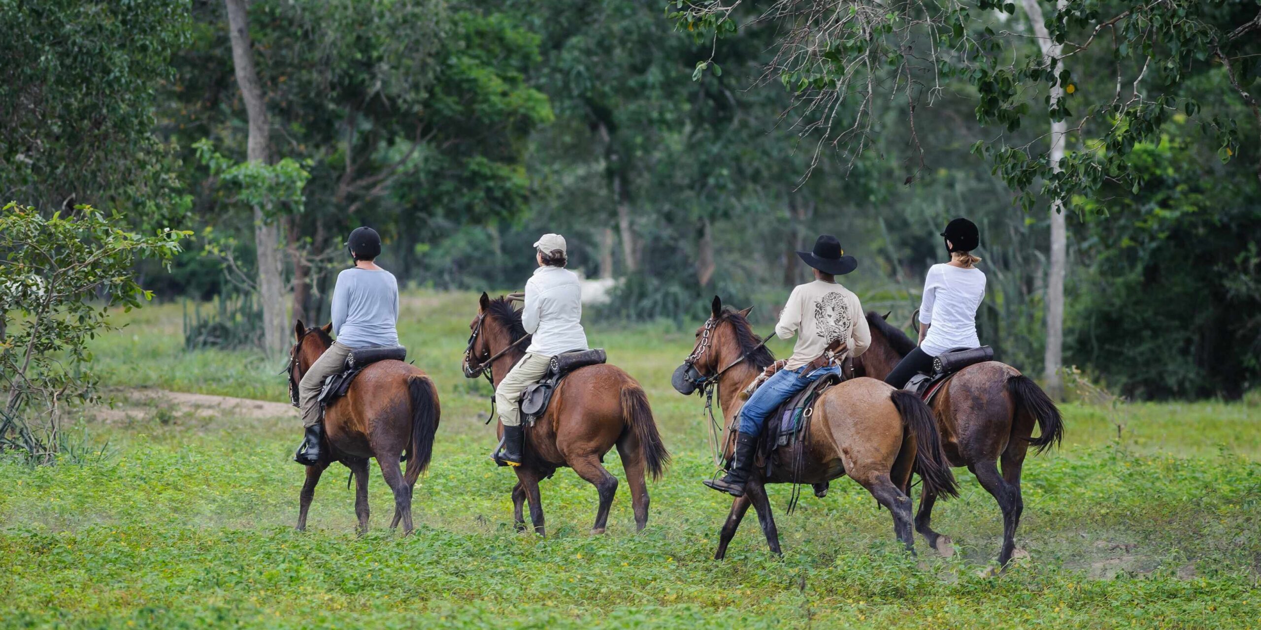 araras_lodge_tour_cavalo_impacto 4