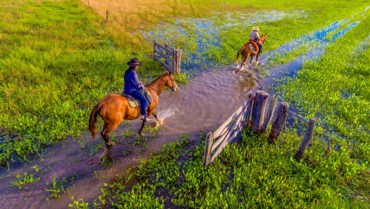 tour_cavalo_pantanal