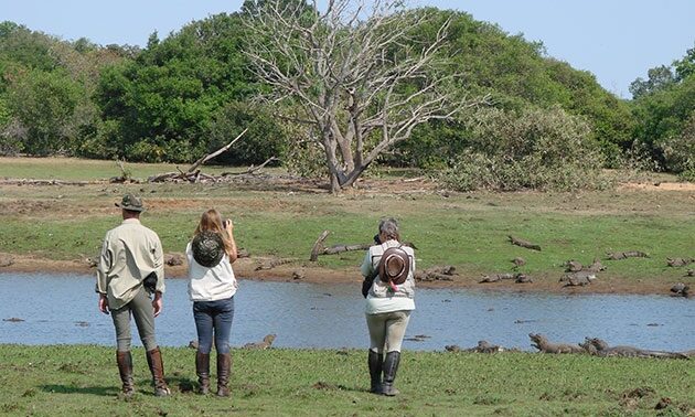 tour_baia_das_pedras(3)