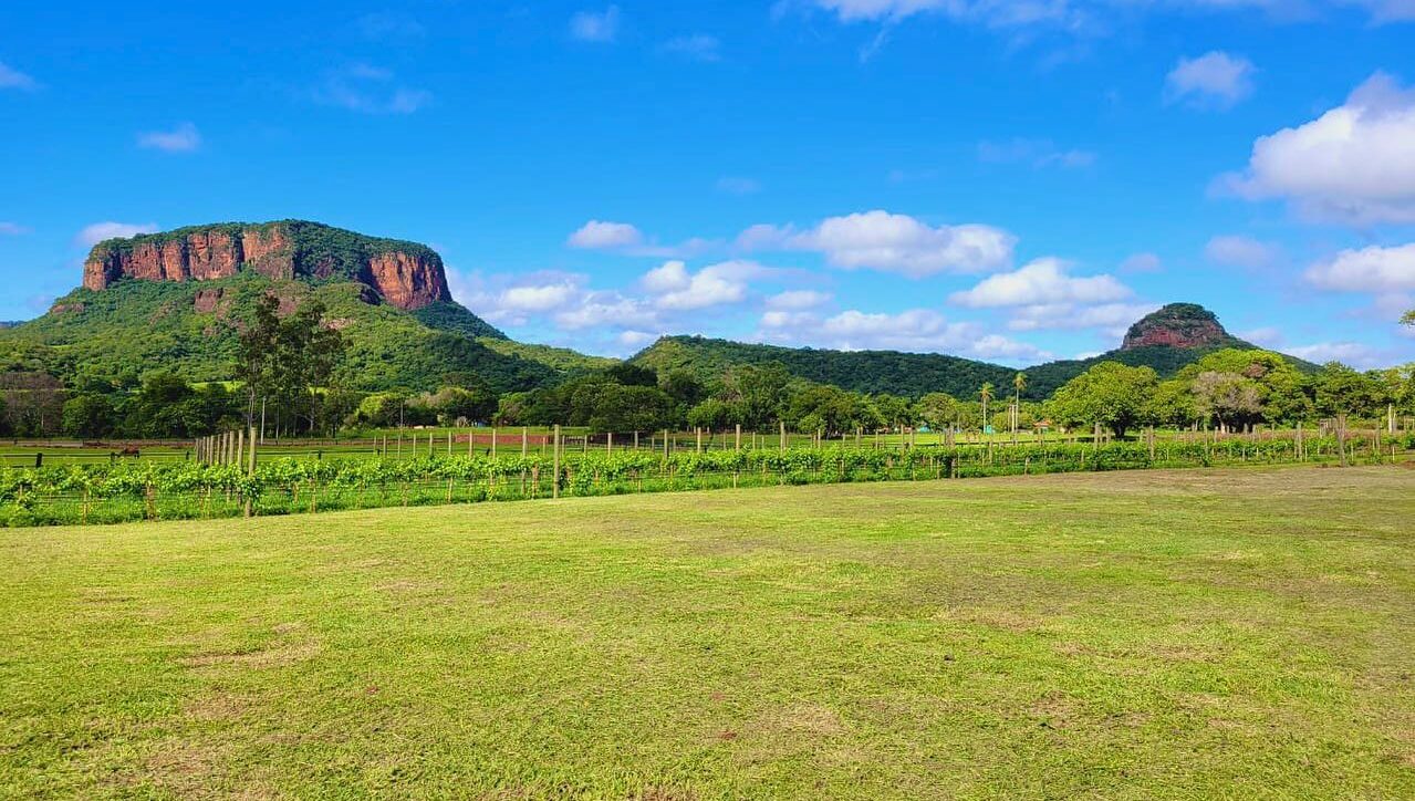 Terroir Pantanal contemplação