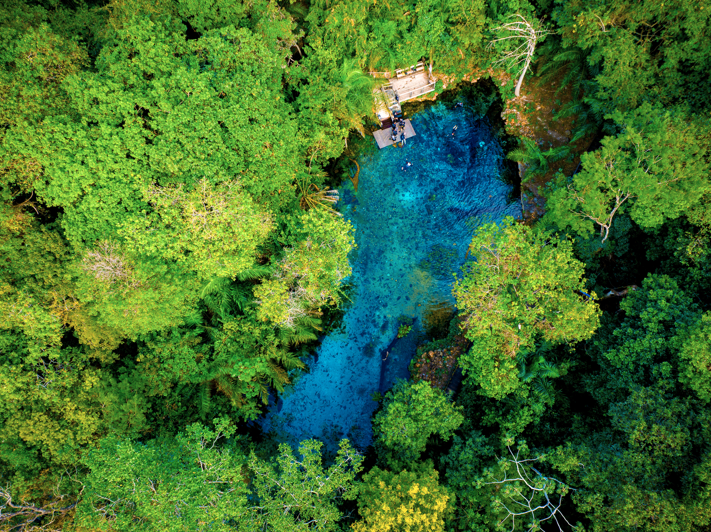 Nascente Azul (7)