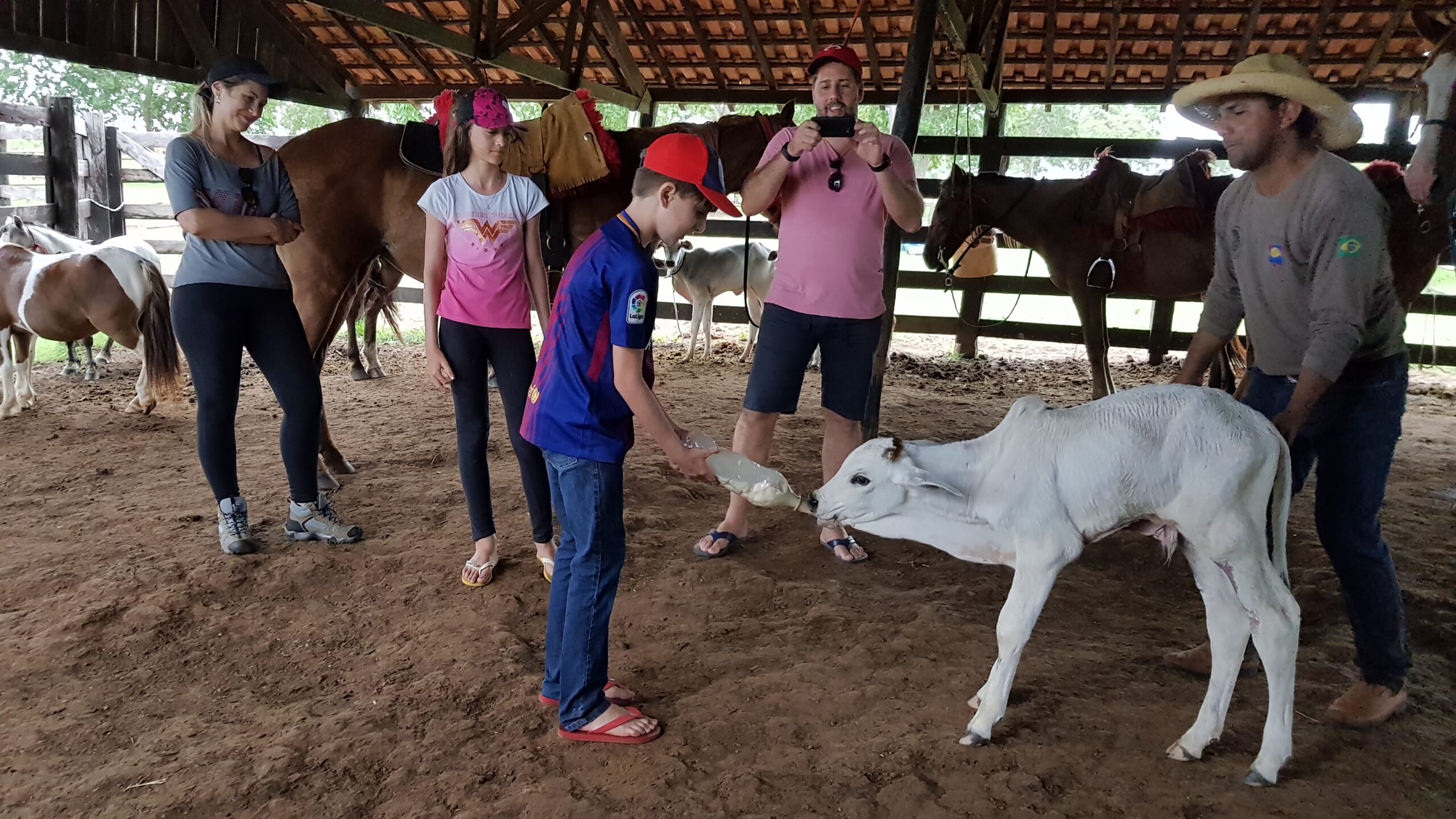 Pantanal Experiência-3