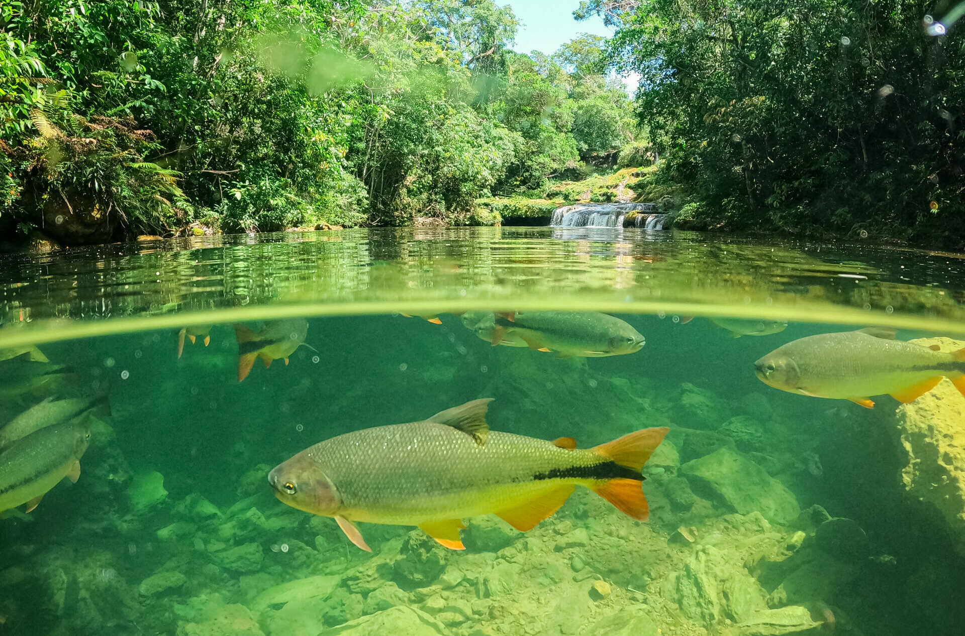 Rio do peixe.JPG